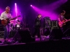 flies4
